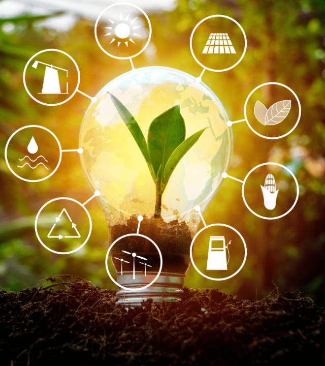 Rehda Tech Renewable Energy Picture Rehda Tech Renewable Energy Picture